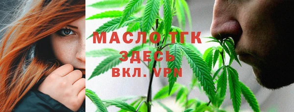 шишки Щигры